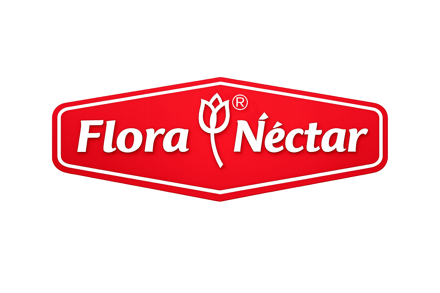 Fornecedor 8